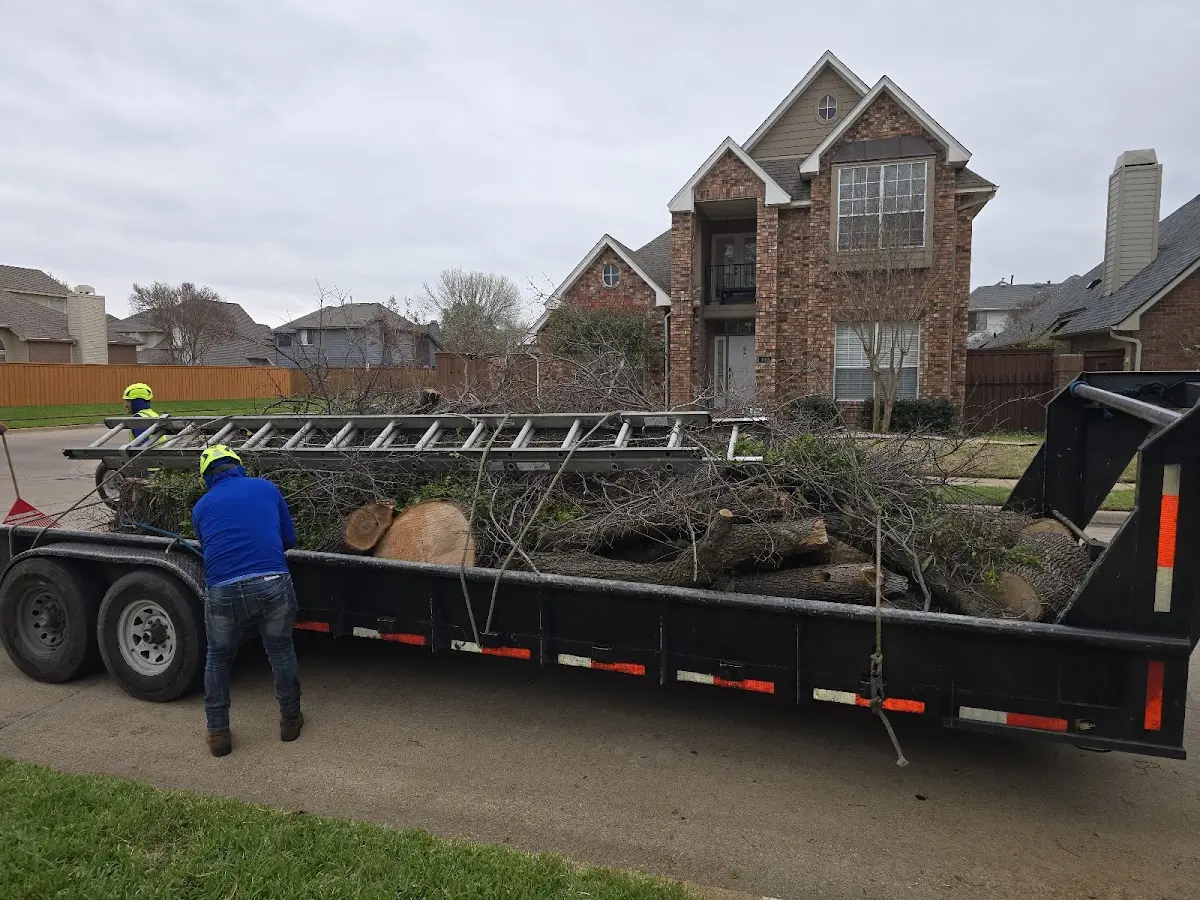 Expert Tree Removal with proper safety equipment in Louisville